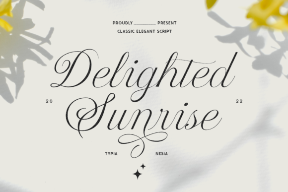 Delighted Sunrise: A Vintage Script Font for Elegant Web Design