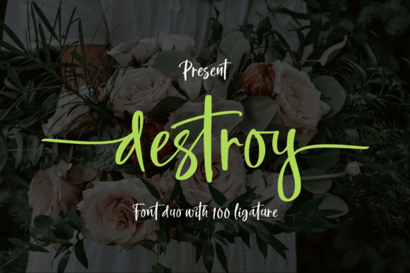 Destroy Font: A Web Designer’s Take on Modern Typography for Digital Brands