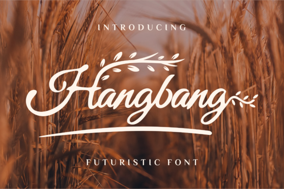 Elevate Your Brand with the Hangbang Script Font