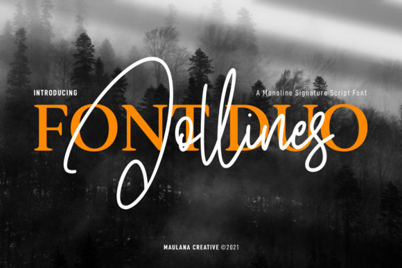 Jollines Font Duo: A Versatile Typeface for Modern Web and Brand Design