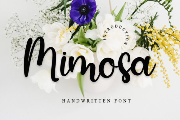 Mimosa: A Versatile Handwritten Font for Modern Web Design