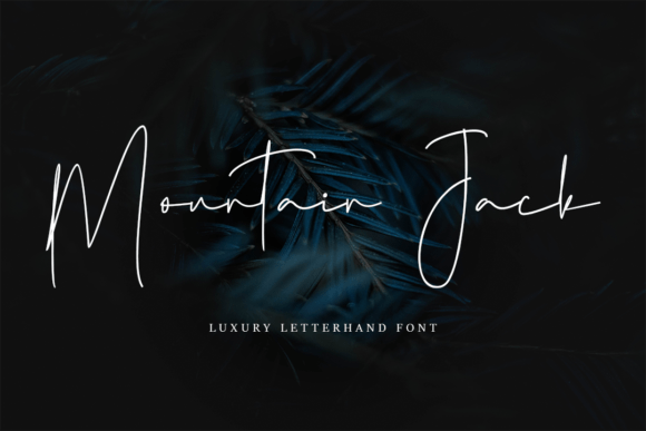 Mountain Jack: A Delicate Touch for Thoughtful Editorial Design