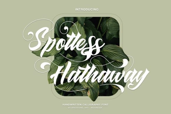 Spotless Hathaway: A Fresh Take on Handwritten Script Fonts for Modern Branding